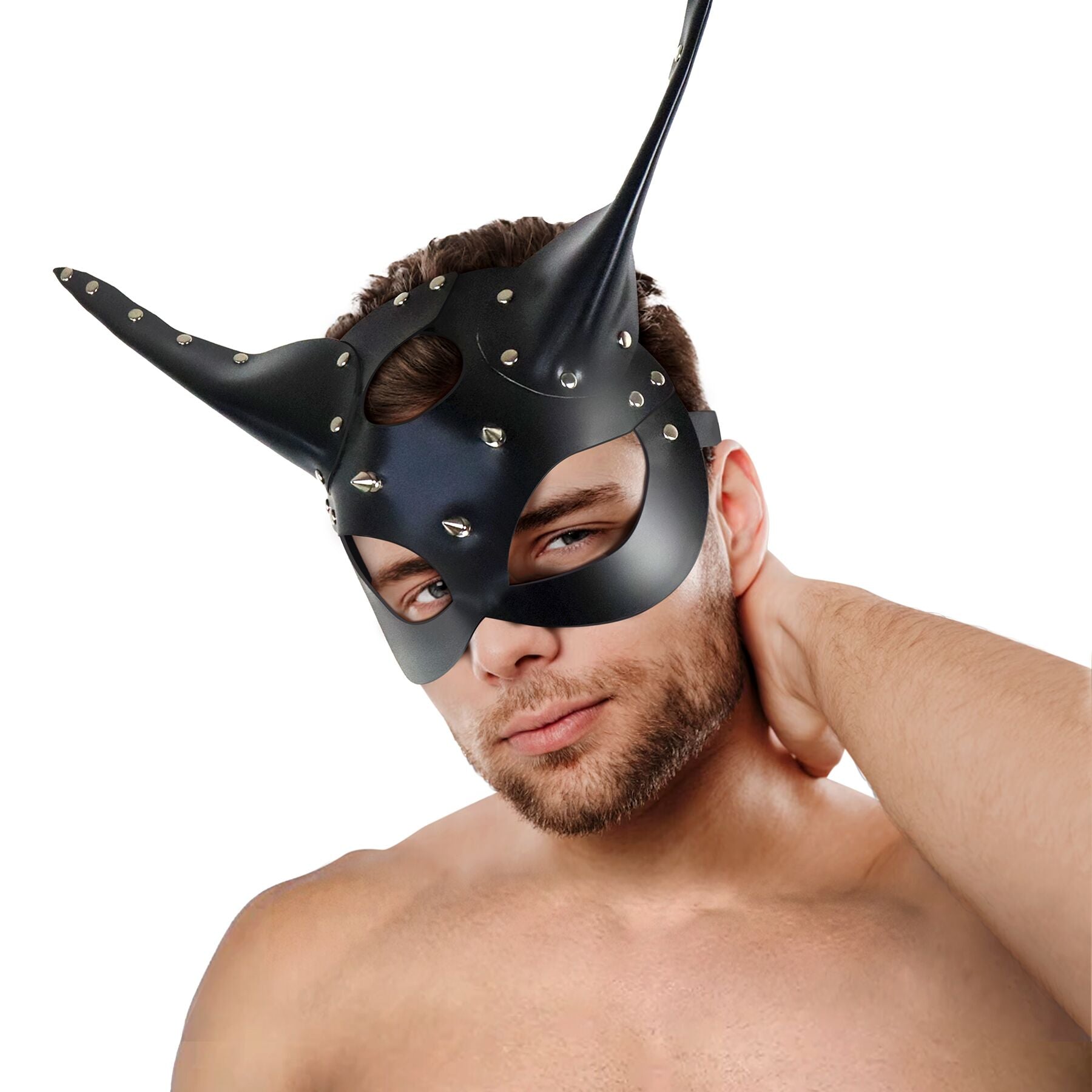 Leather Mask Art of Sex - Lucifer Black