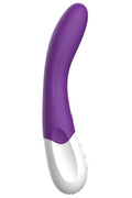 G-spot Vibrator Liebe Bend It Rechargeable Purple, 10 Modes, Very Powerful, Flexible Shaft